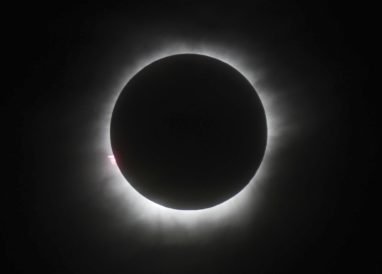 article image - 